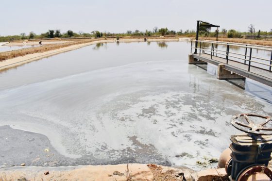 Cadre de vie : Le bassin de Dalifort, un nouveau danger pour des riverains